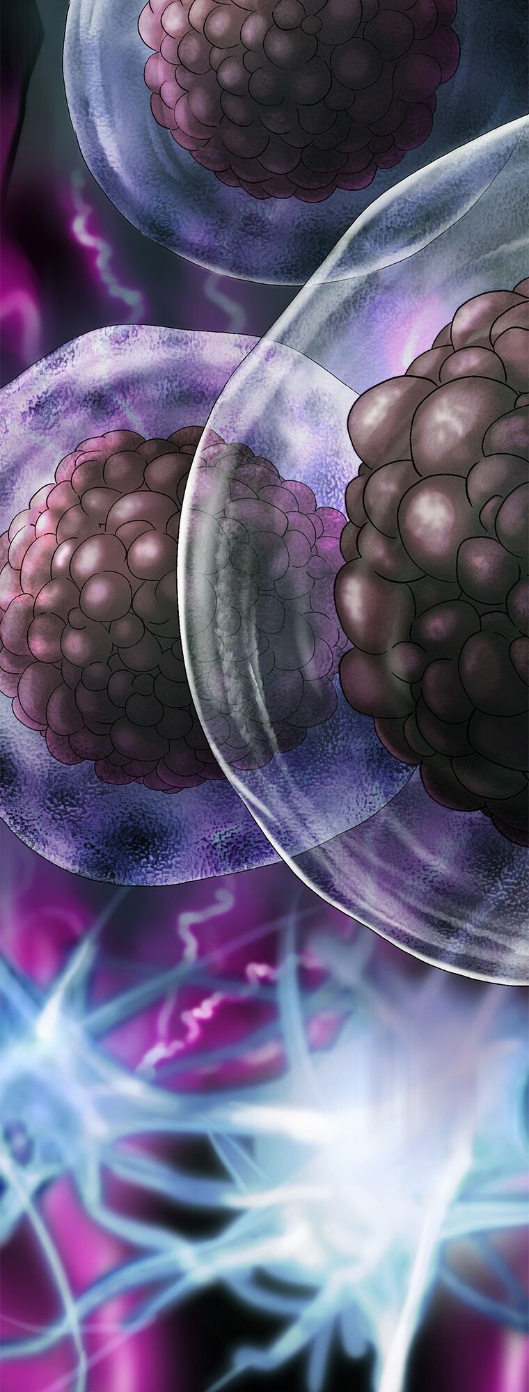 Cell Chapter 26 - Trang 35