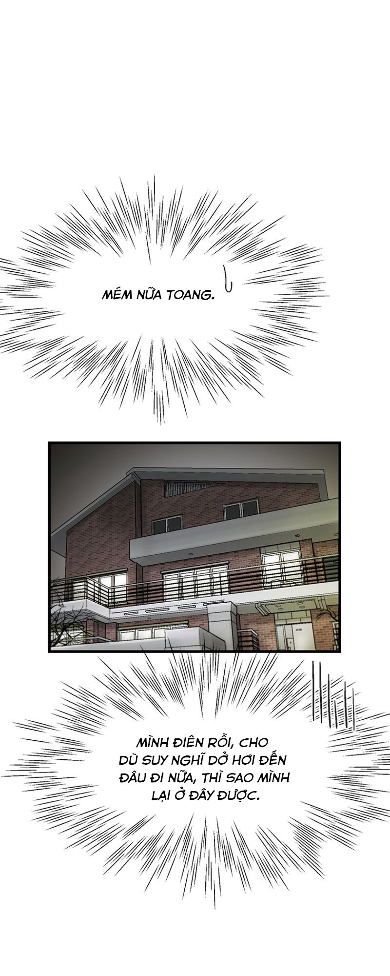 Cell Chapter 8 - Trang 29