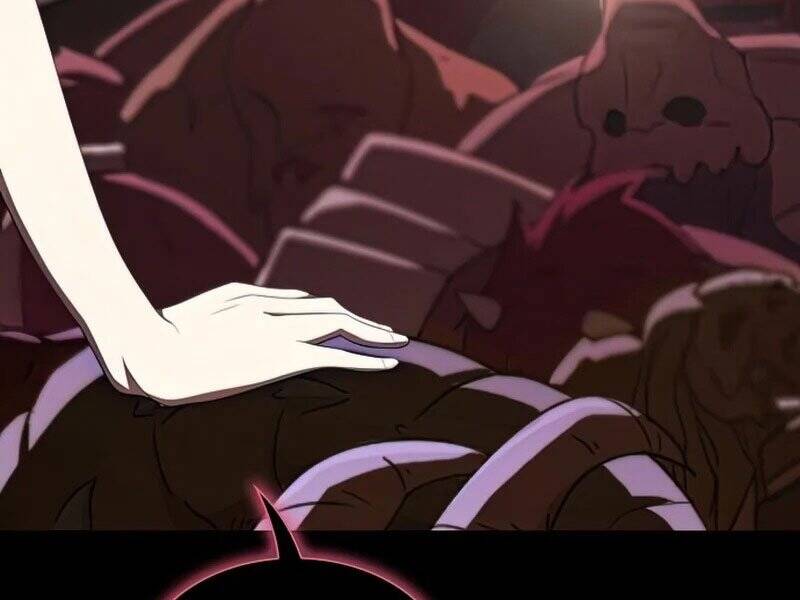 Tôi Là Người Chơi Leo Tháp Một Mình Chapter 110 - Trang 11