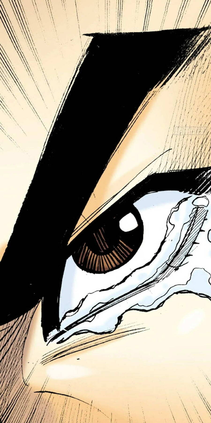 Anh Hùng Thập Bát Chapter 52 - Trang 29