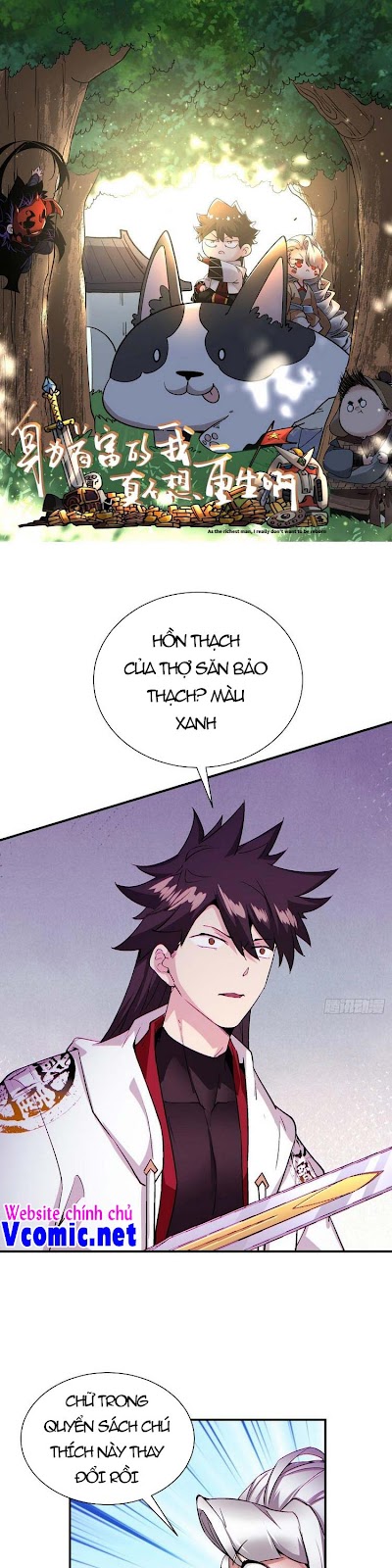 Ta Là Nhà Giàu Số Một, Ta Không Muốn Trọng Sinh Chapter 90 - Trang 0