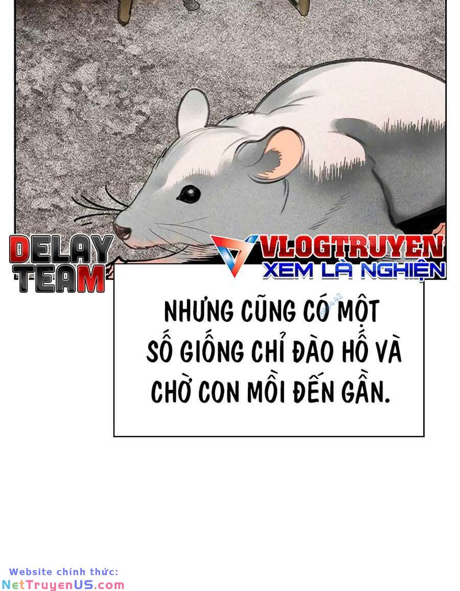 Nhân Trùng Đại Chiến Chapter 105 - Trang 61