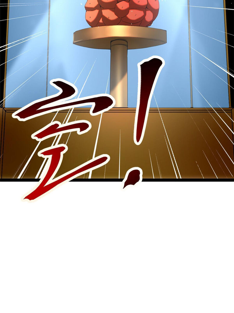 Cái Bóng Vạn Năng Chapter 198 - Trang 13