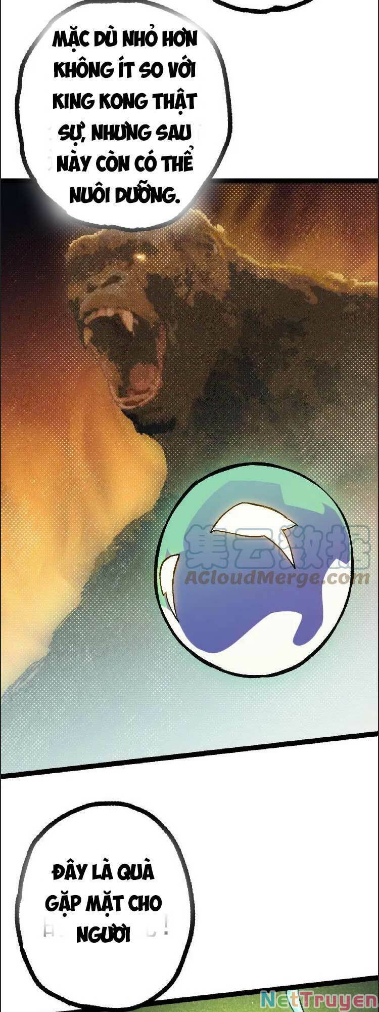 Chuyển Sinh Thành Liễu Đột Biến Chapter 41 - Trang 35