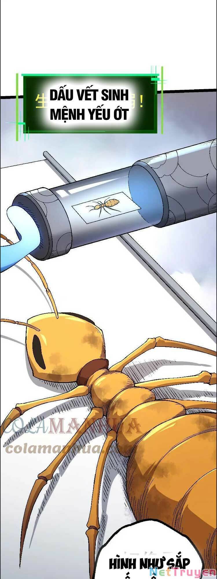 Chuyển Sinh Thành Liễu Đột Biến Chapter 36 - Trang 19