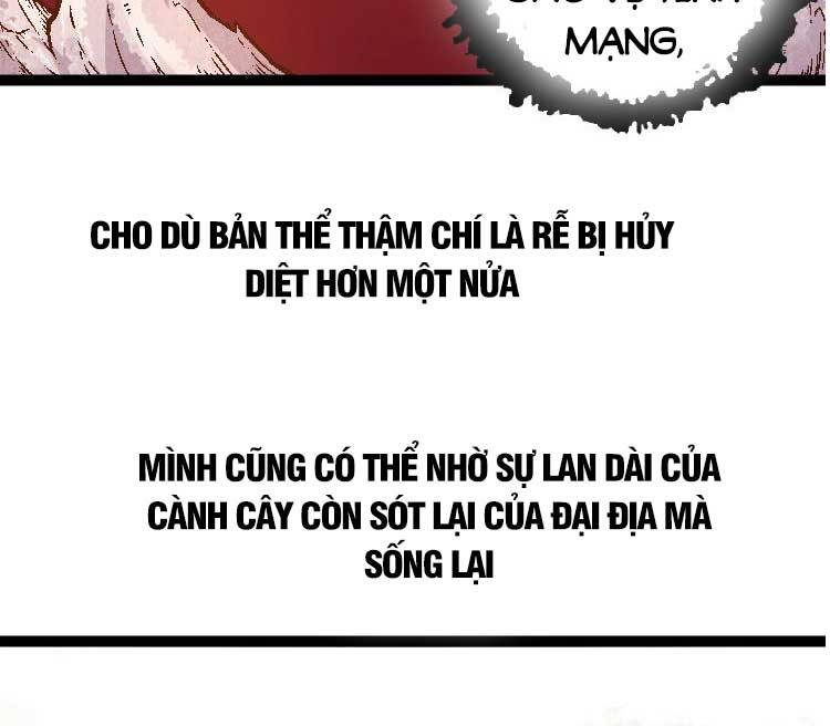 Chuyển Sinh Thành Liễu Đột Biến Chapter 28 - Trang 16