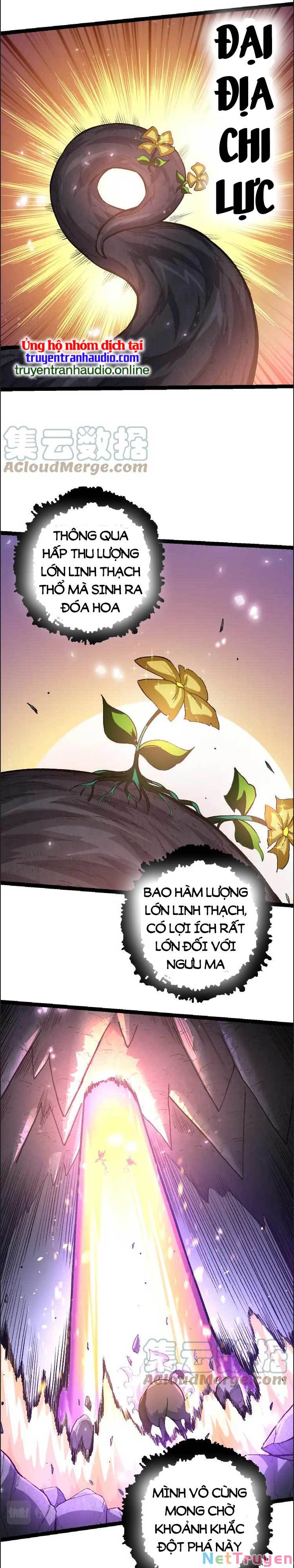 Chuyển Sinh Thành Liễu Đột Biến Chapter 43 - Trang 13
