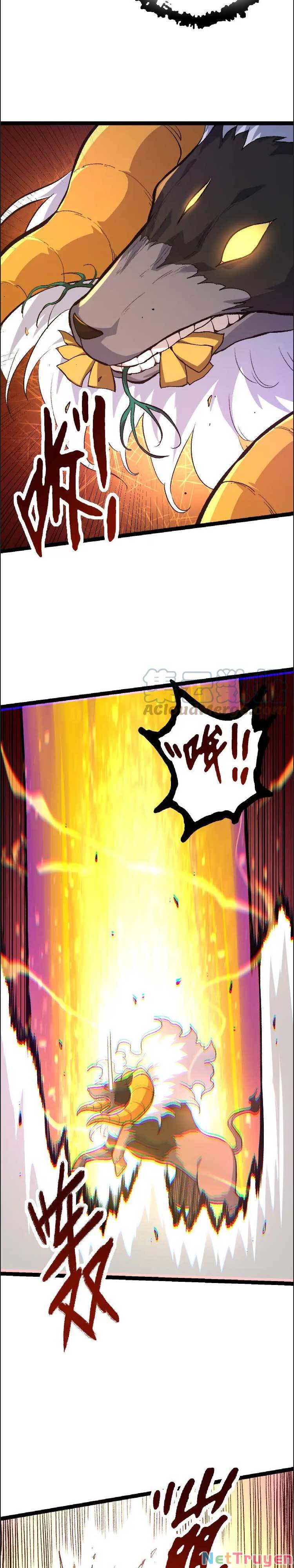Chuyển Sinh Thành Liễu Đột Biến Chapter 43 - Trang 14