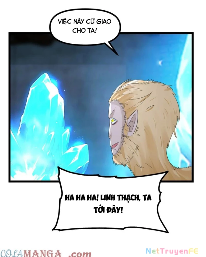 Hỗn độn đan Thần Chapter 492 - Trang 19