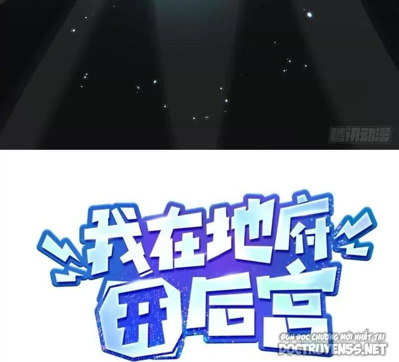 Ta Ở Địa Phủ Mở Hậu Cung Chapter 41 - Trang 1