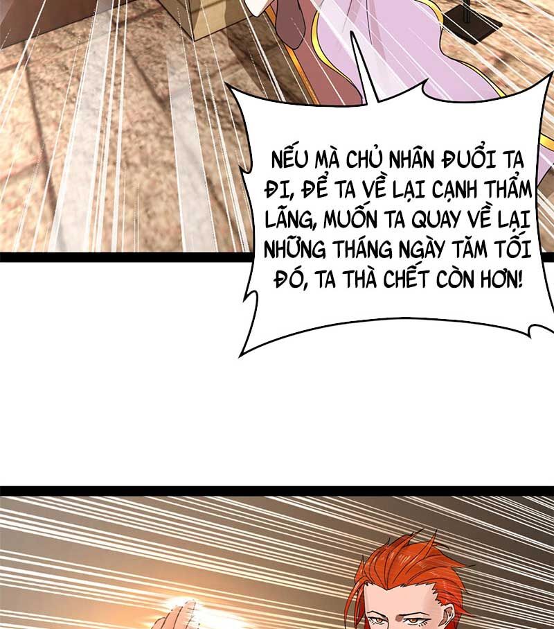 Chàng Rể Mạnh Nhất Lịch Sử Chapter 144 - Trang 21
