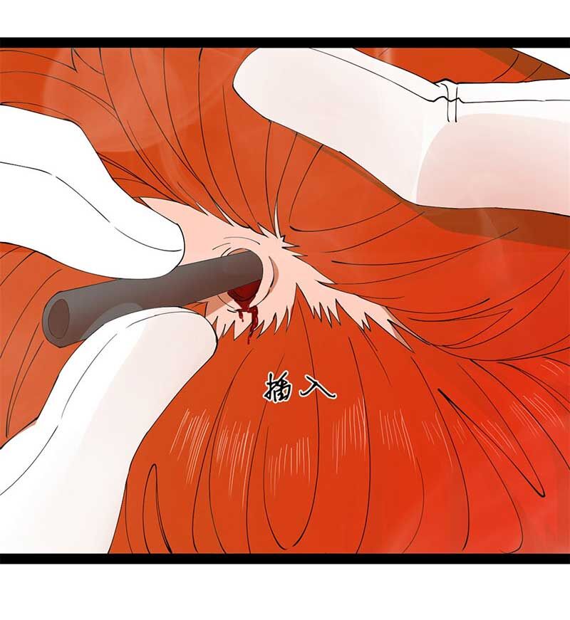 Chàng Rể Mạnh Nhất Lịch Sử Chapter 138 - Trang 57