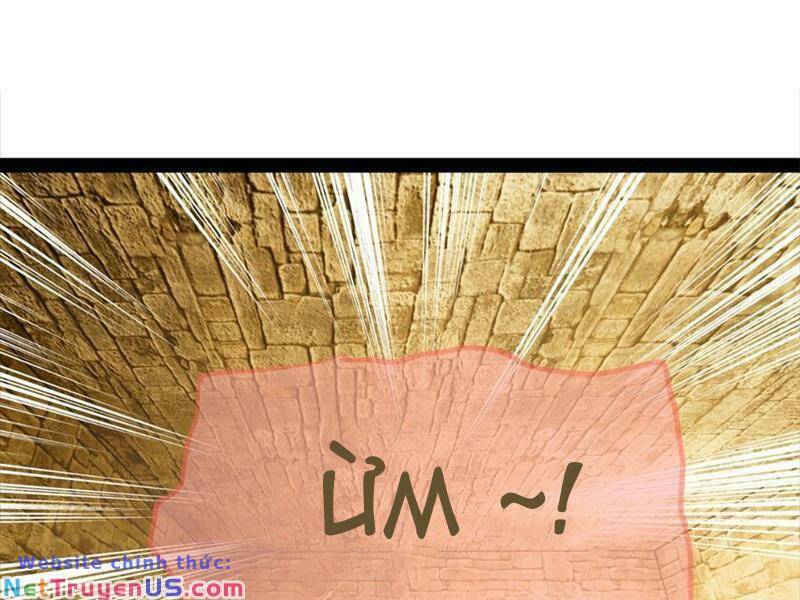 Chàng Rể Mạnh Nhất Lịch Sử Chapter 137 - Trang 50