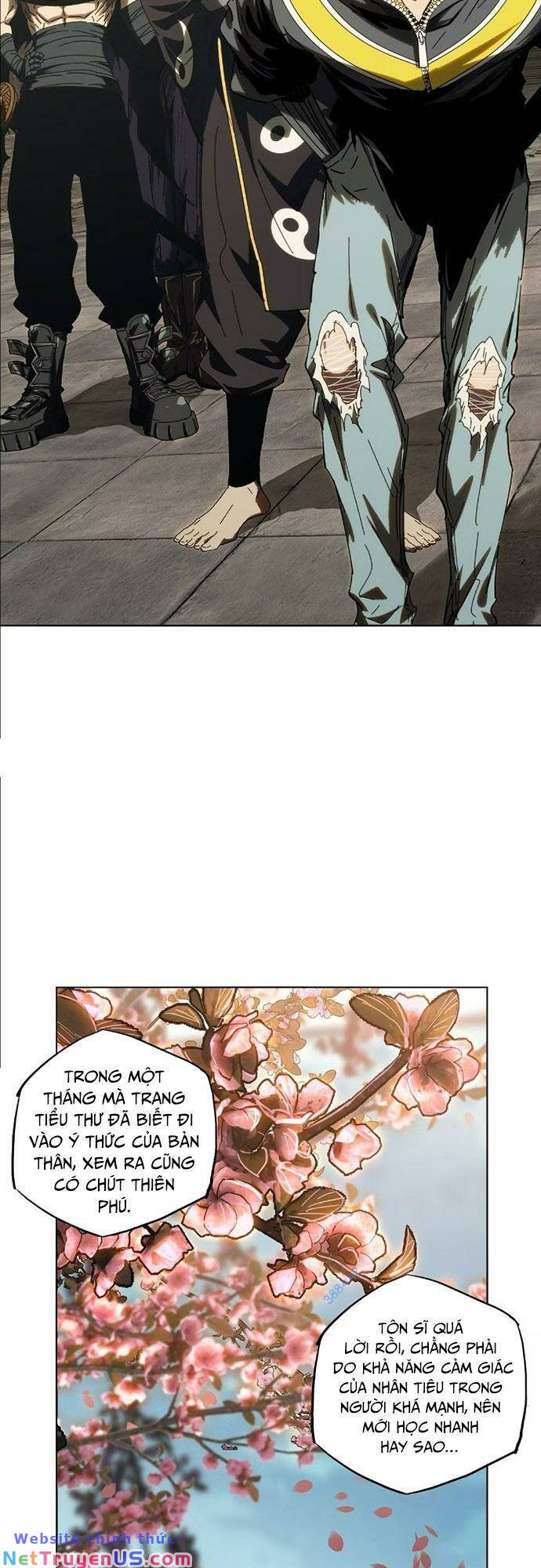 Đại Tượng Vô Hình Chapter 372 - Trang 5
