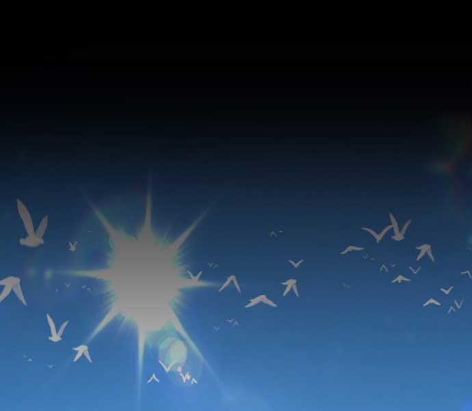 Gậy Gỗ Cấp 99+ Chap 85.5 - Next Chap 86.5