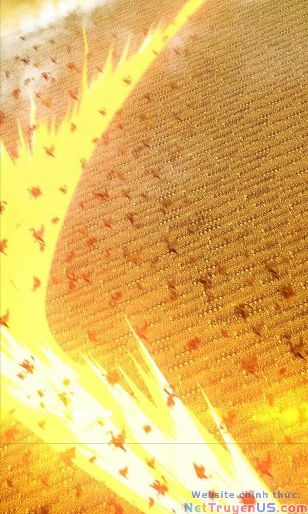 Gậy Gỗ Cấp 99+ Chap 79 - Next Chap 80