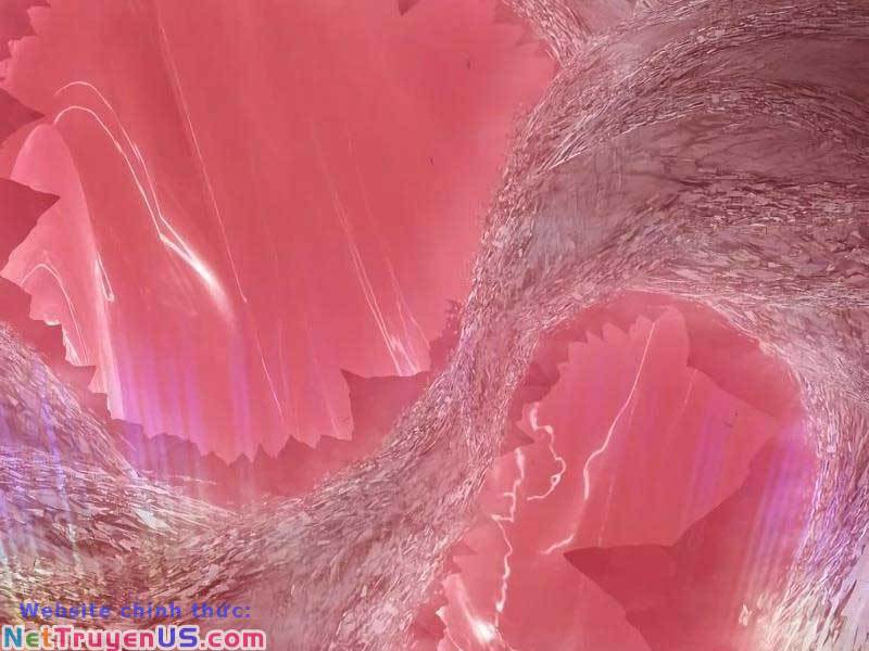 Gậy Gỗ Cấp 99+ Chap 82 - Next Chap 83