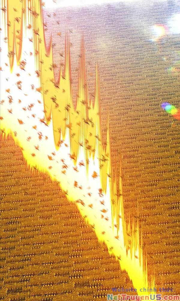 Gậy Gỗ Cấp 99+ Chap 79 - Next Chap 80