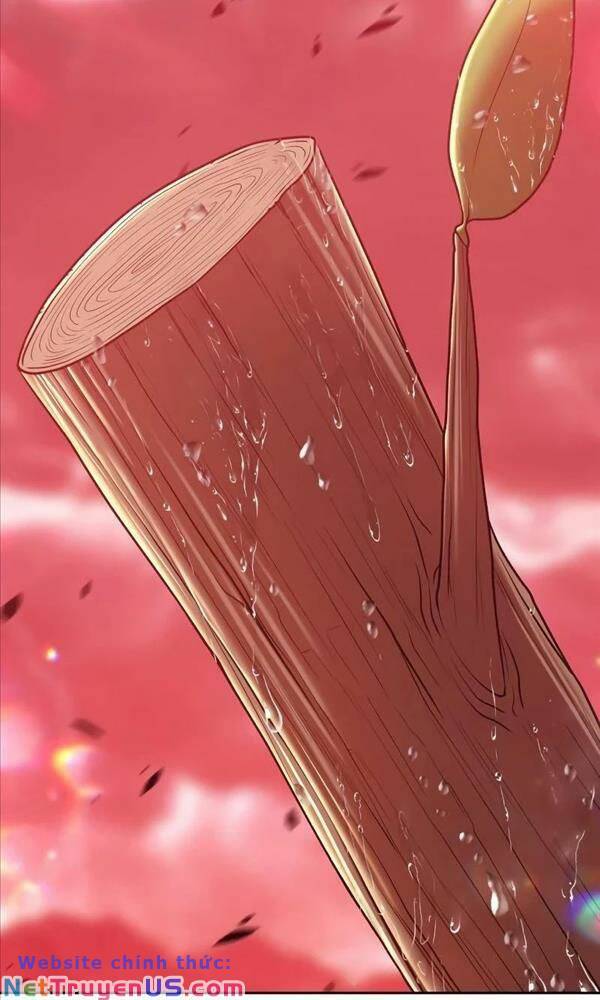 Gậy Gỗ Cấp 99+ Chap 80 - Next Chap 81