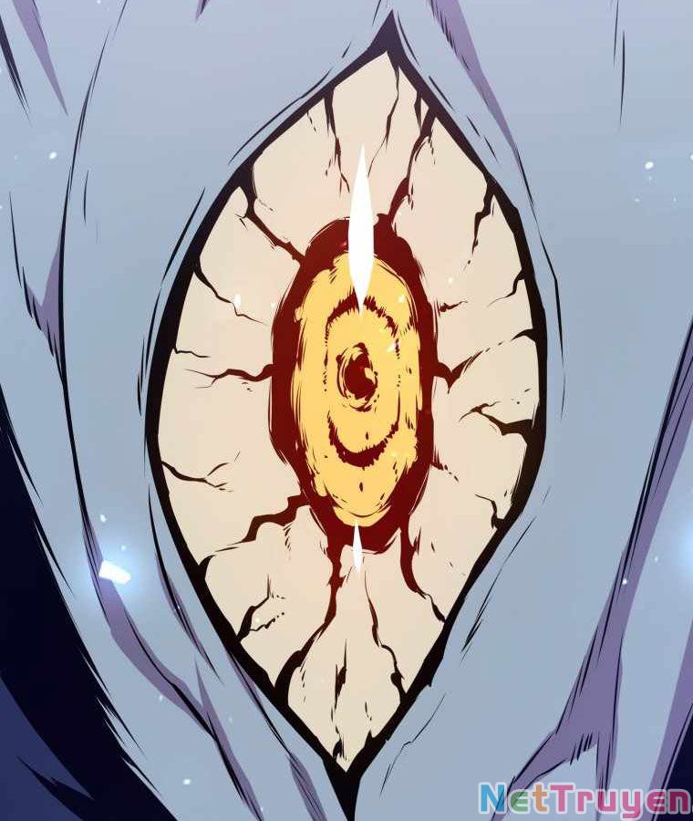 Ngủ Để Thăng Cấp Chapter 21 - Trang 21