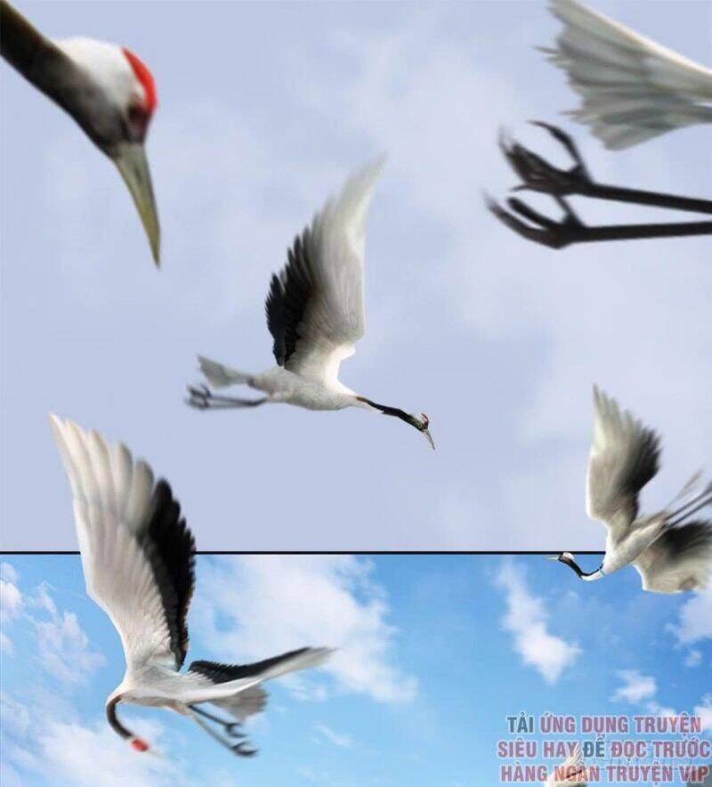 Cửu Hoang Đọa Huyền Sư Chapter 54 - Trang 0