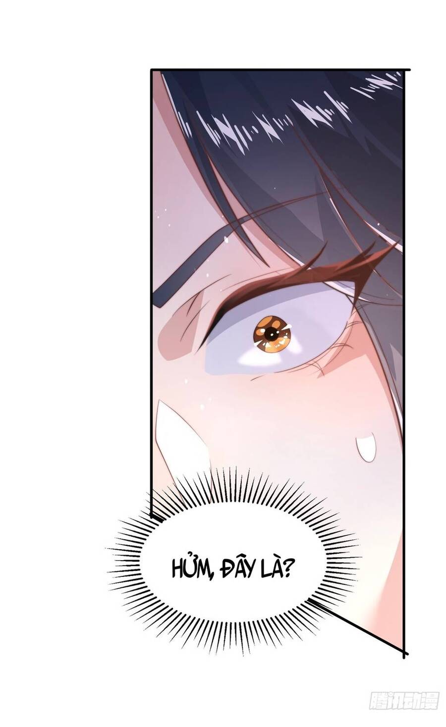 Nữ Đồ Đệ Ai Nấy Đều Muốn Giết Ta Chapter 13 - Trang 22