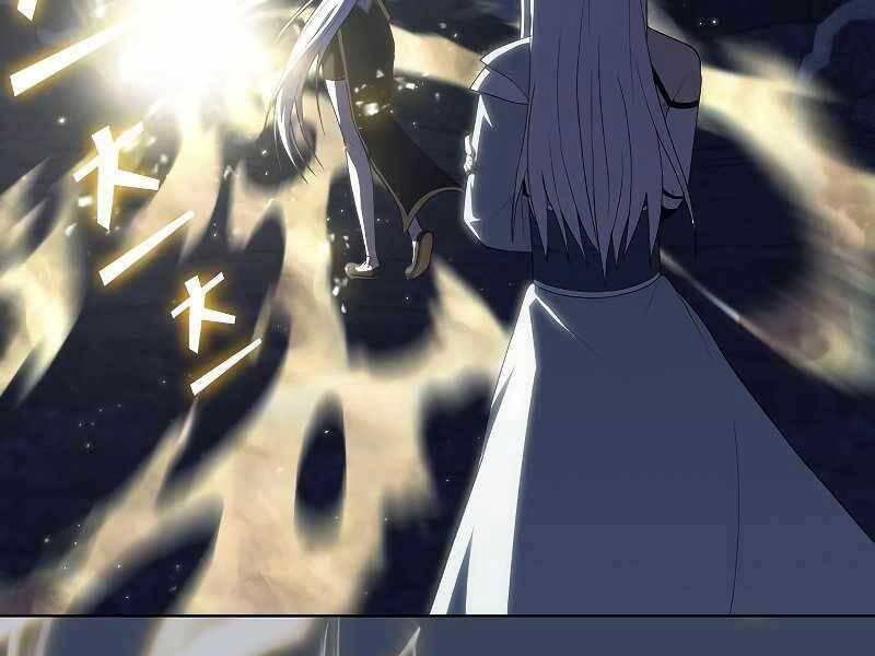 Tôi Là Người Chơi Leo Tháp Một Mình Chapter 114 - Trang 228
