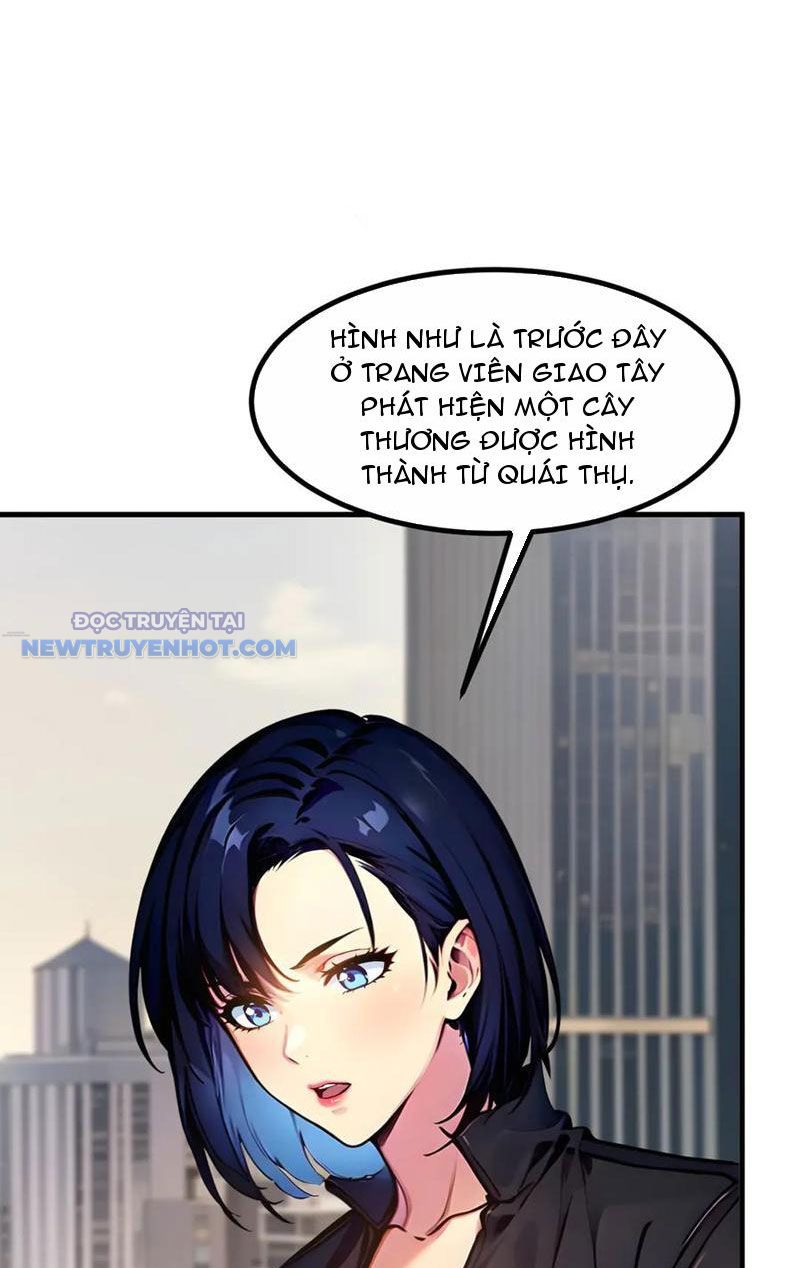 Chúa Tể Linh Khí Khôi Phục chapter 35 - Trang 14