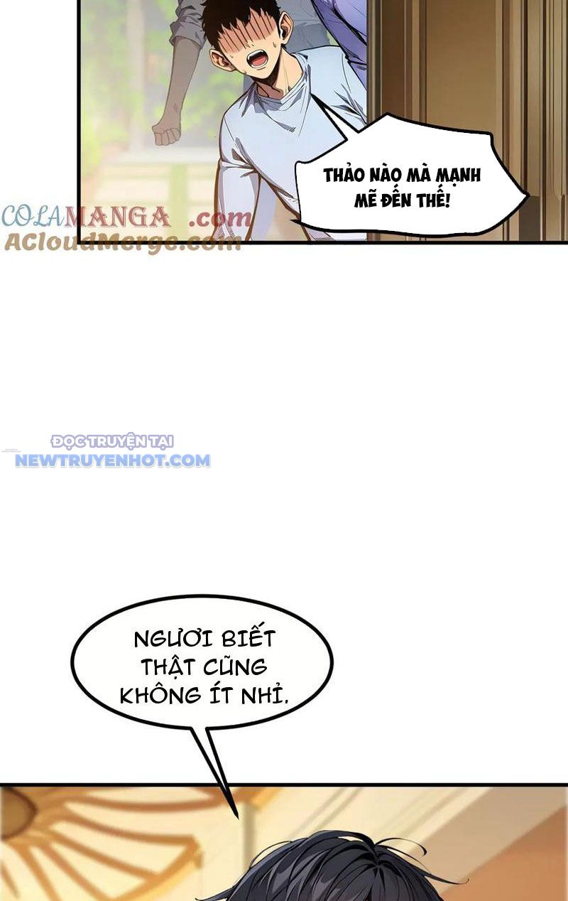 Chúa Tể Linh Khí Khôi Phục chapter 37 - Trang 10