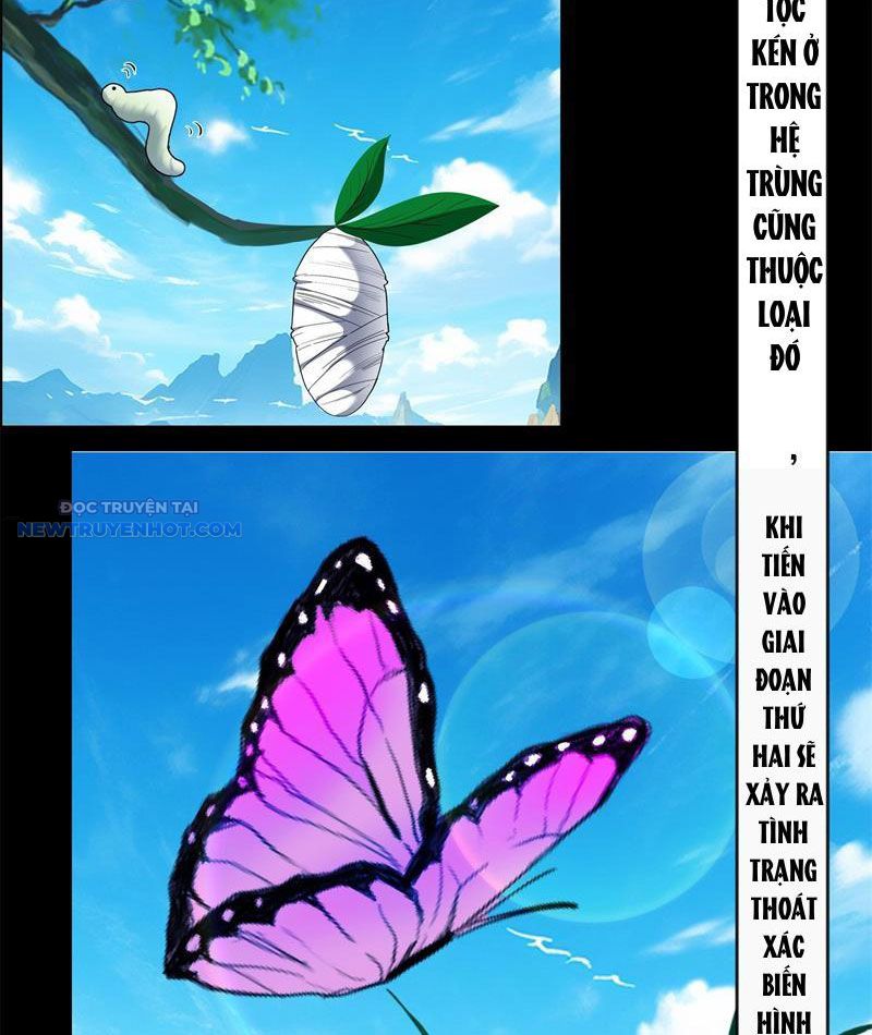 Tân Sủng Mị chapter 38 - Trang 5