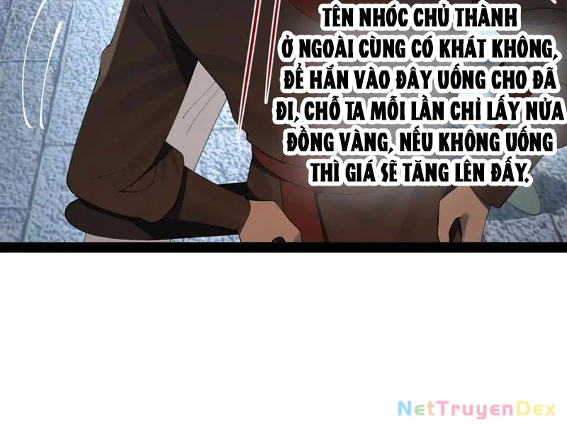 Chàng Rể Mạnh Nhất Lịch Sử Chapter 257 - Trang 19