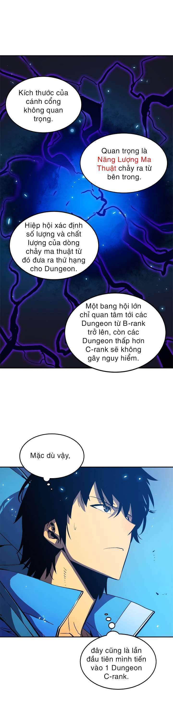 Tôi Thăng Cấp Một Mình Chapter 19 - Trang 10