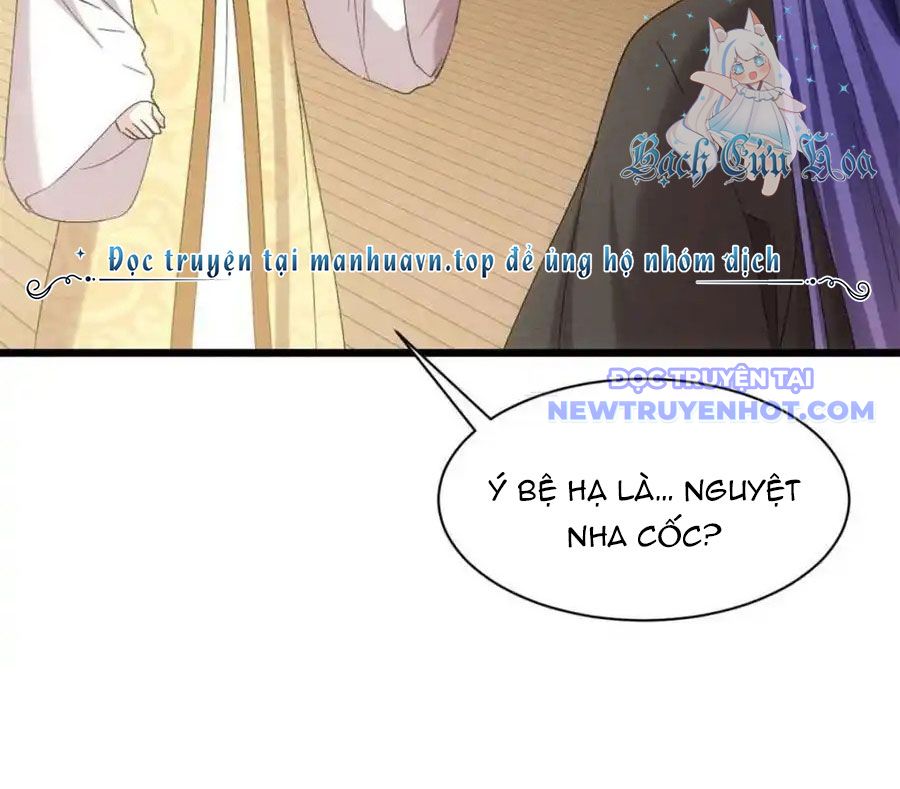 Ta Chính Là Không Theo Sáo Lộ Ra Bài chapter 304 - Trang 46