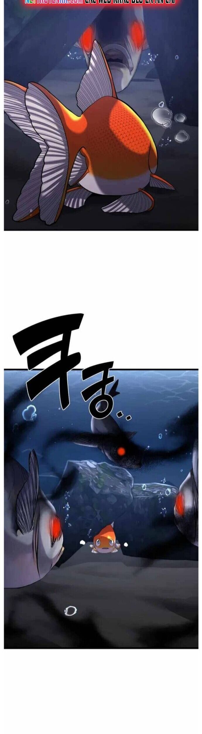 Hoá Thân Thành Cá Chapter 29 - Trang 19