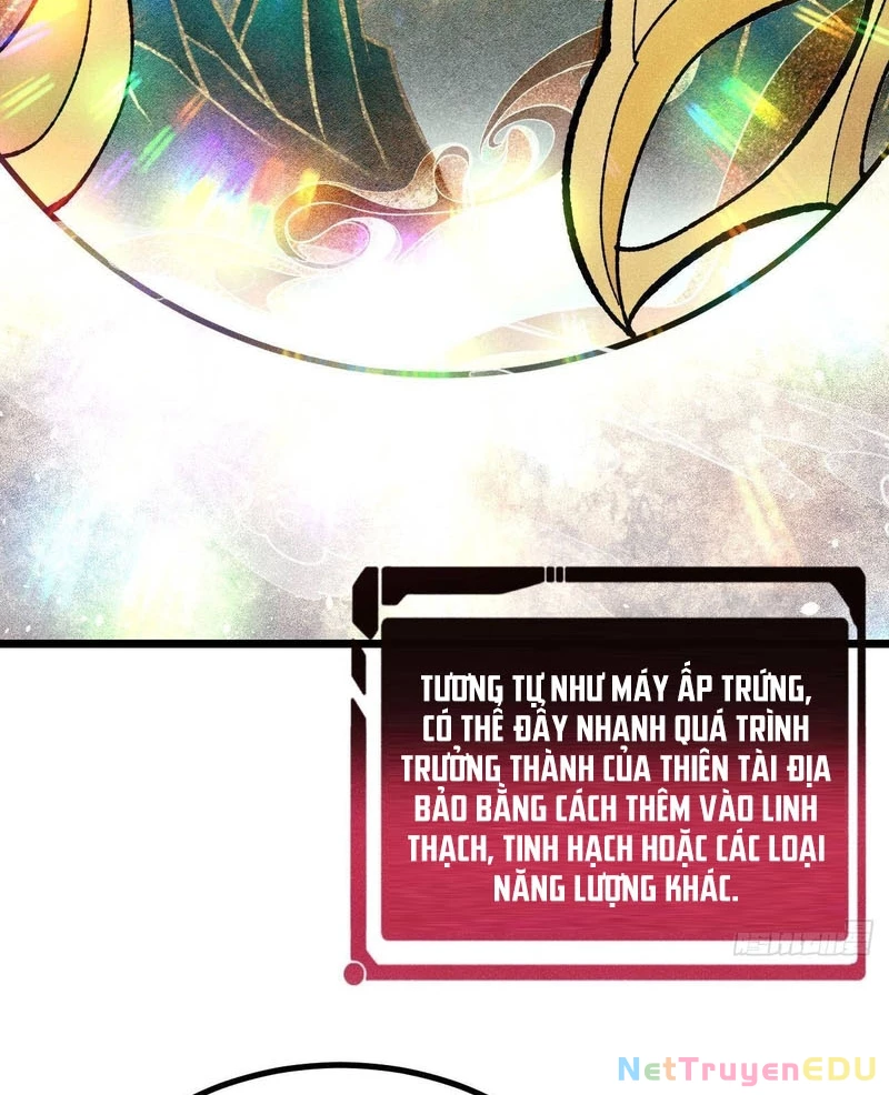 Vạn Cổ Tối Cường Tông Chapter 399 - Trang 25