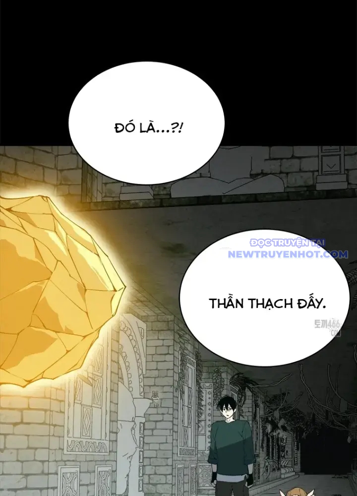 Lv 1 Bất Khả Chiến Bại chapter 58 - Trang 65