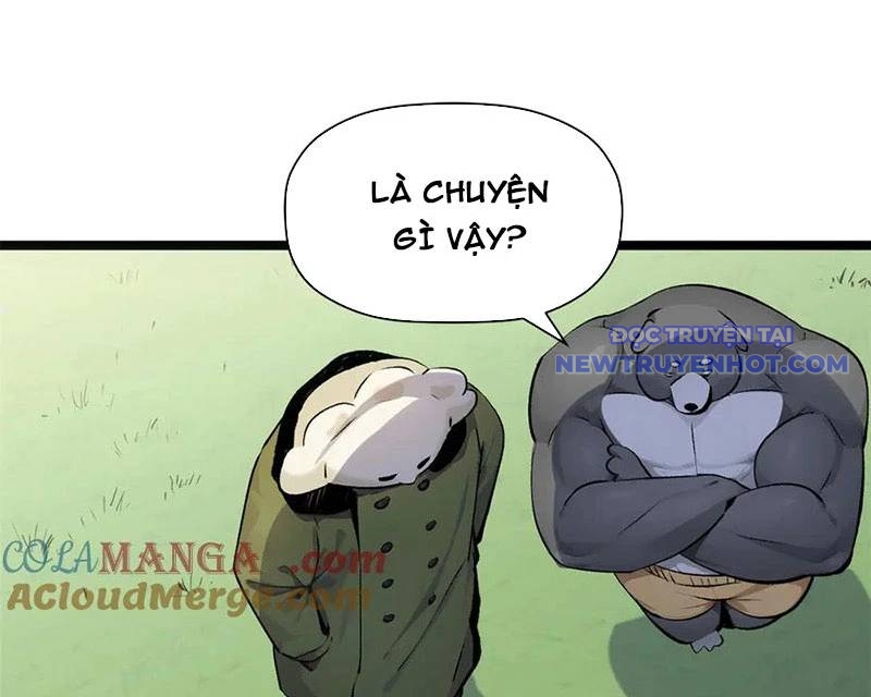 Đỉnh Cấp Khí Vận, Lặng Lẽ Tu Luyện Ngàn Năm chapter 194 - Trang 144