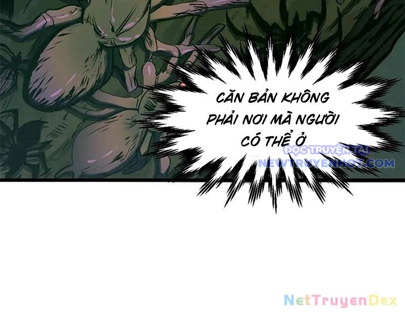 Đỉnh Cấp Khí Vận, Lặng Lẽ Tu Luyện Ngàn Năm chapter 197 - Trang 19