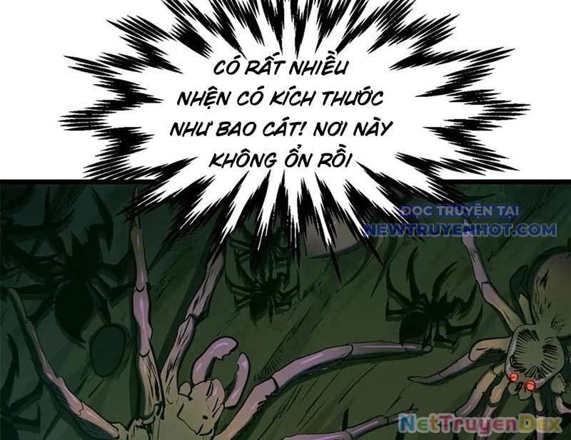 Đỉnh Cấp Khí Vận, Lặng Lẽ Tu Luyện Ngàn Năm chapter 197 - Trang 18