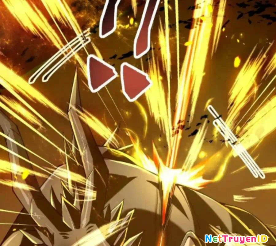 Sức Mạnh Của Kiếm Thần Chapter 55 - Trang 11