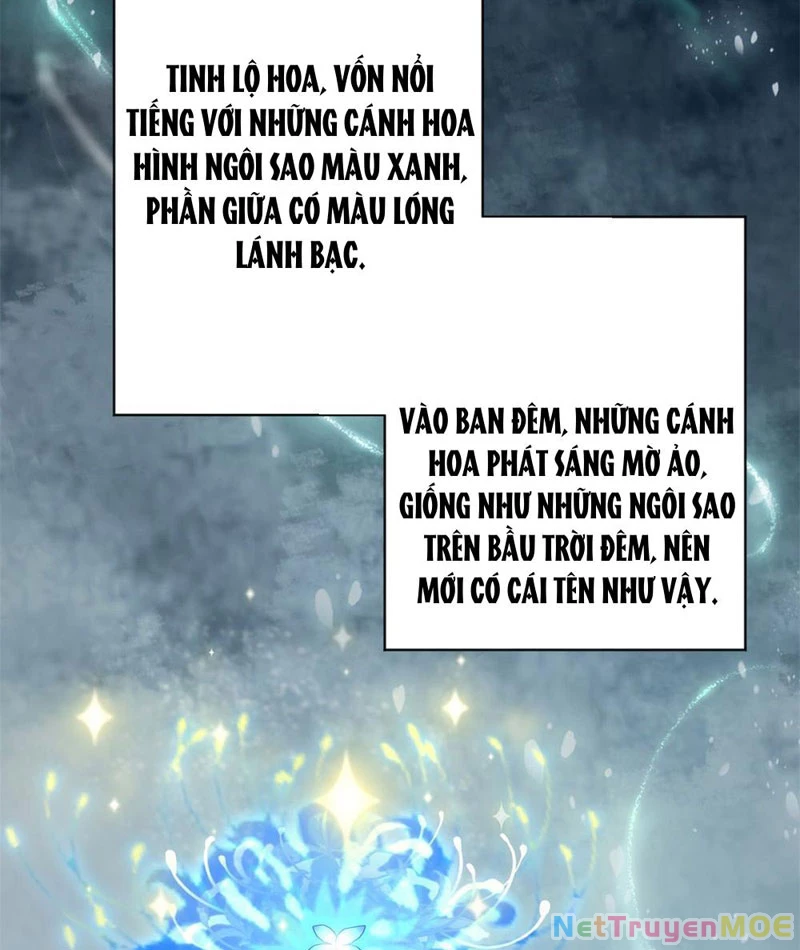 Dị Năng Trùng Sinh Ta Sớm Ở Đỉnh Cao Chapter 2 - Trang 16