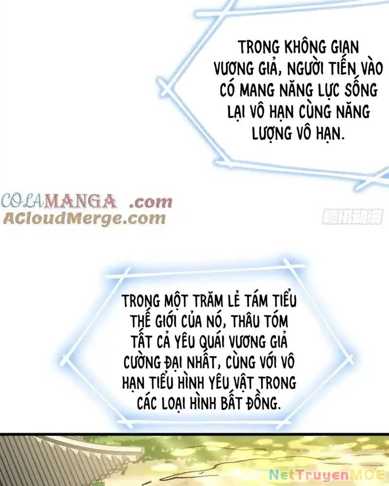 Ta Nhờ Đồ Đệ Kéo Dài Tính Mạng Chapter 33 - Trang 52