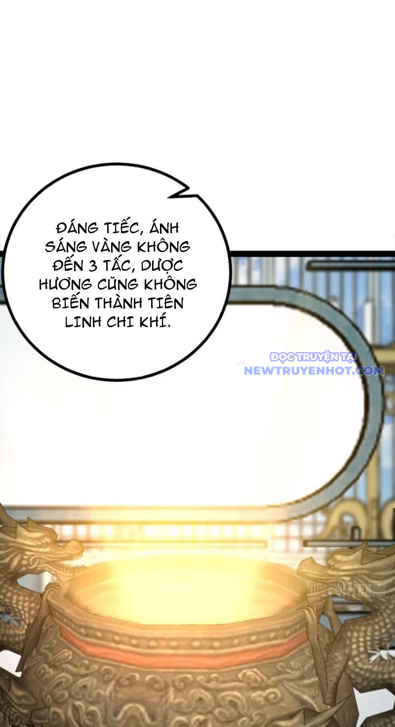 Trăm Tuổi Mở Hệ Thống, Hiếu Tử Hiền Tôn Quỳ Khắp Núi! chapter 72 - Trang 31