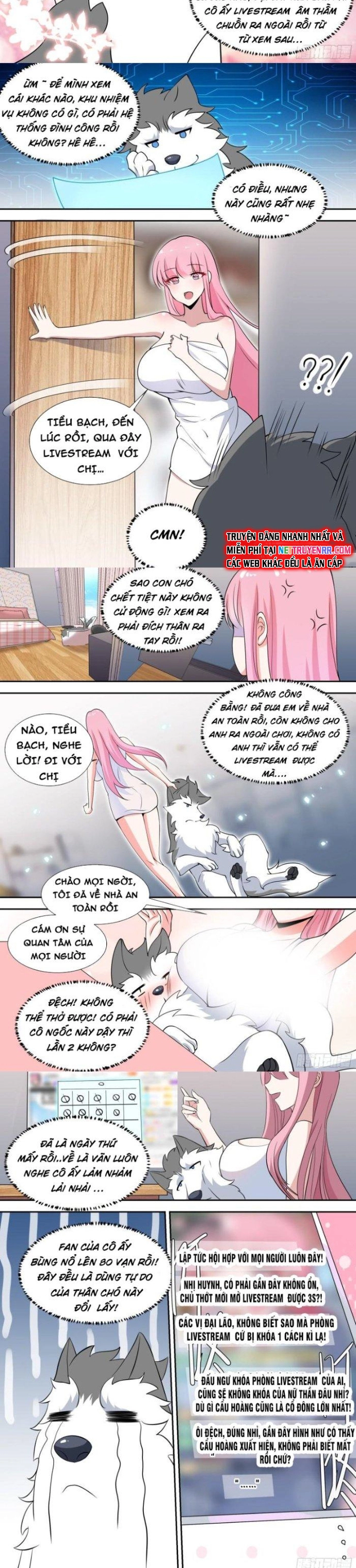 Trọng Sinh Thành Chó Của Nữ Thần Chapter 81 - Trang 2