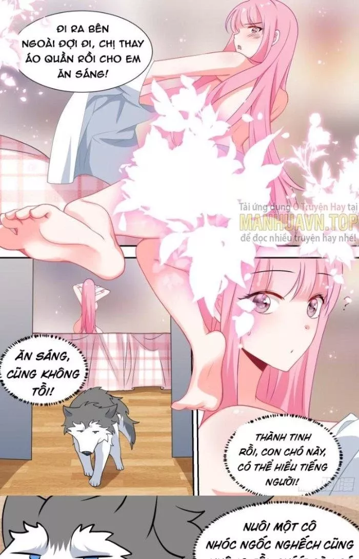 Trọng Sinh Thành Chó Của Nữ Thần Chapter 90 - Trang 11