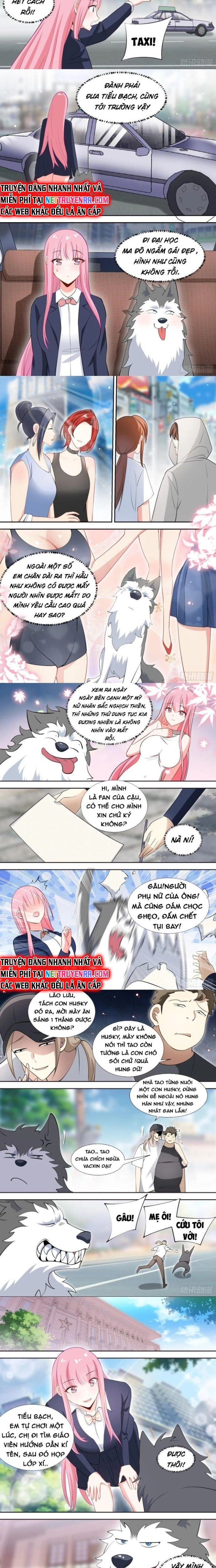 Trọng Sinh Thành Chó Của Nữ Thần Chapter 87 - Trang 1