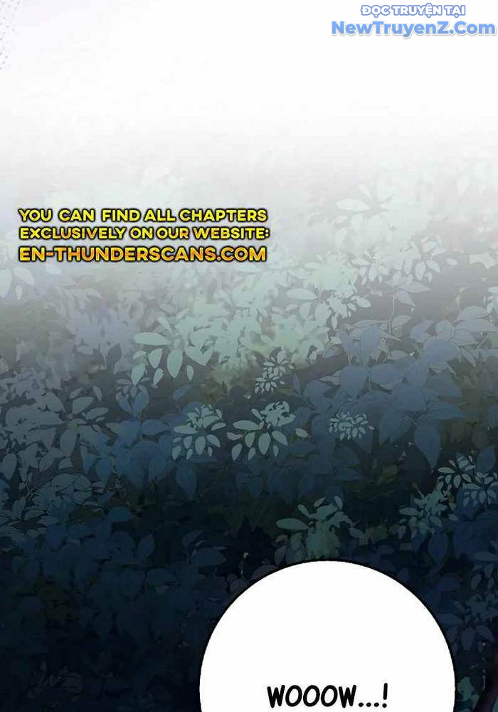 Thiên Tài Võ Thuật Hồi Quy chapter 89 - Trang 49