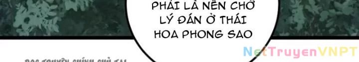 Tự Kỷ Luật Ta Đây Bất Khả Chiến Bại Chapter 126 - Trang 38