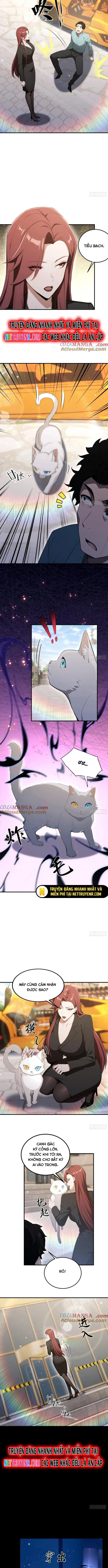 Quá Ảo! Ta Mở Lớp Đào Tạo Nữ Đế Chapter 93 - Trang 4