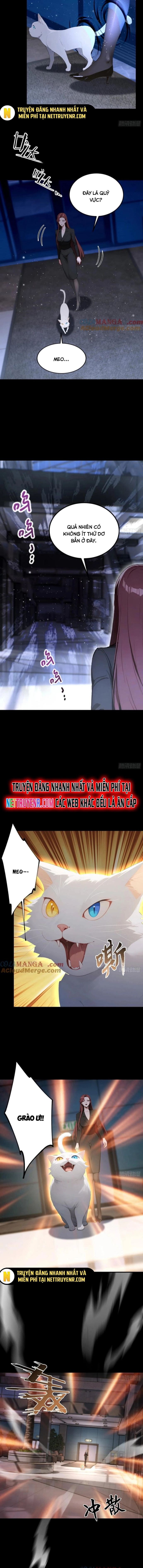 Quá Ảo! Ta Mở Lớp Đào Tạo Nữ Đế Chapter 93 - Trang 5